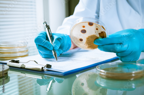 Canvas Print Agar plate with growing germs