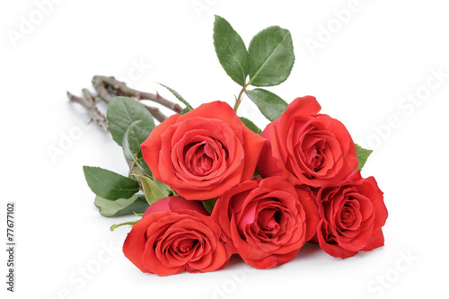 Five red roses isolated on white