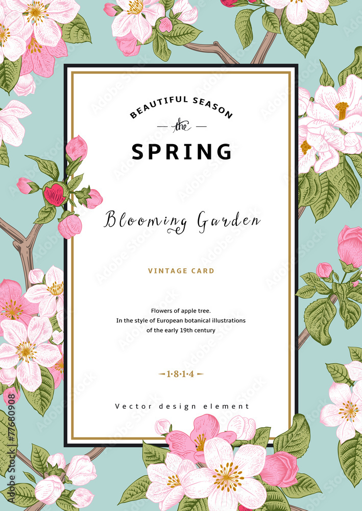 Obraz premium Vintage vector vertical card spring.