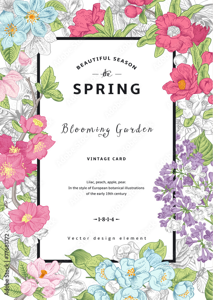 Naklejka premium Vintage vector vertical card spring.