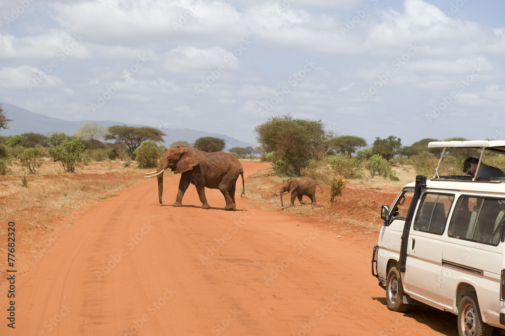 Naklejka premium Safari at Tsavo West National Park