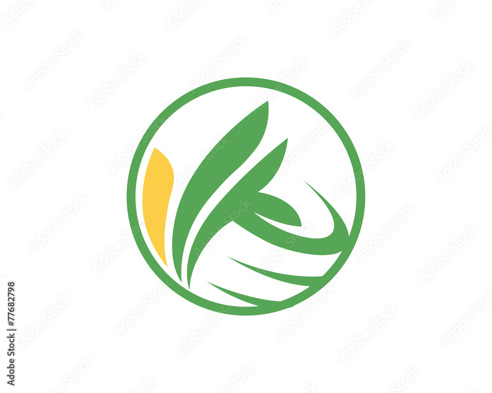 Natural Remedies Natural Remedies
