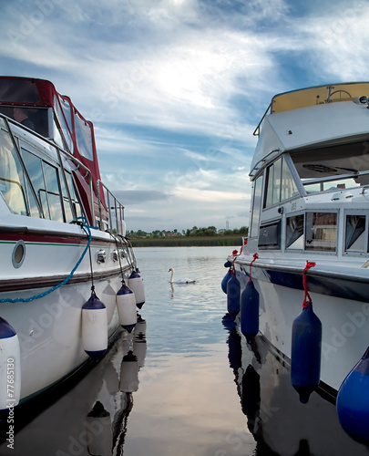 Swan between cruisers on River Shannon, Ireland
