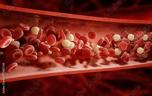 Valokuva blood cells