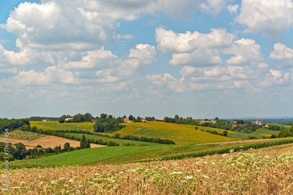 Extensive View of Fields Under Cloudy Sky