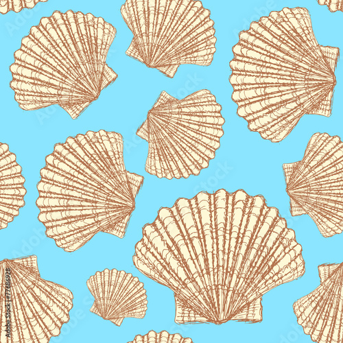 Sketch sea shell in vintage style