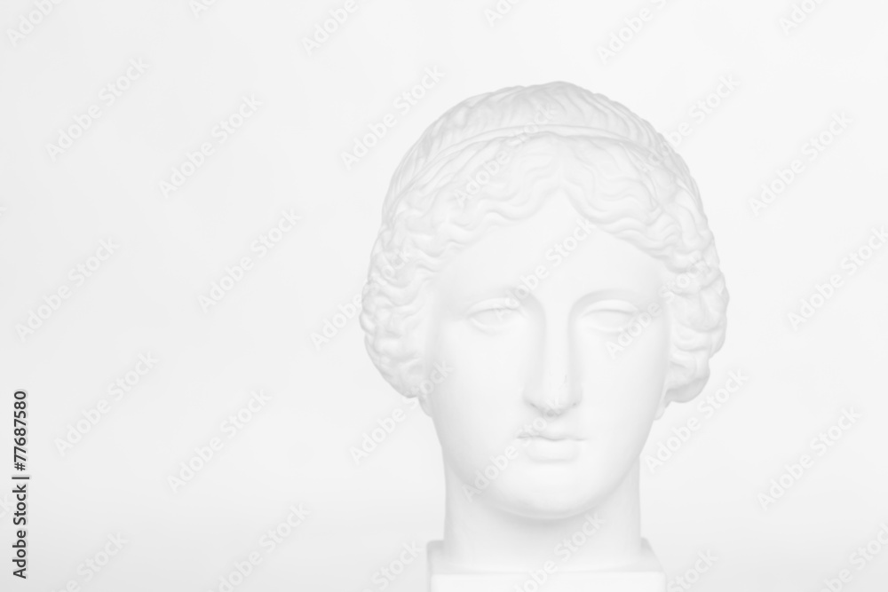 Gypsum head of Venus de Milo