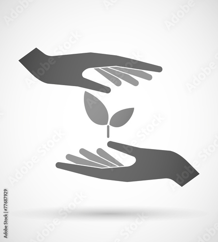 Hands protecting or giving a plant