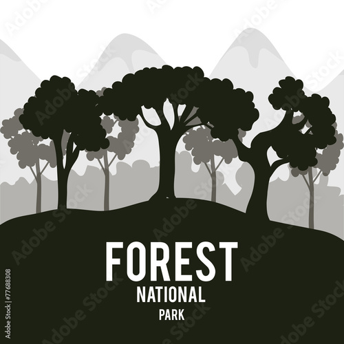 Forest design, vector illustration.