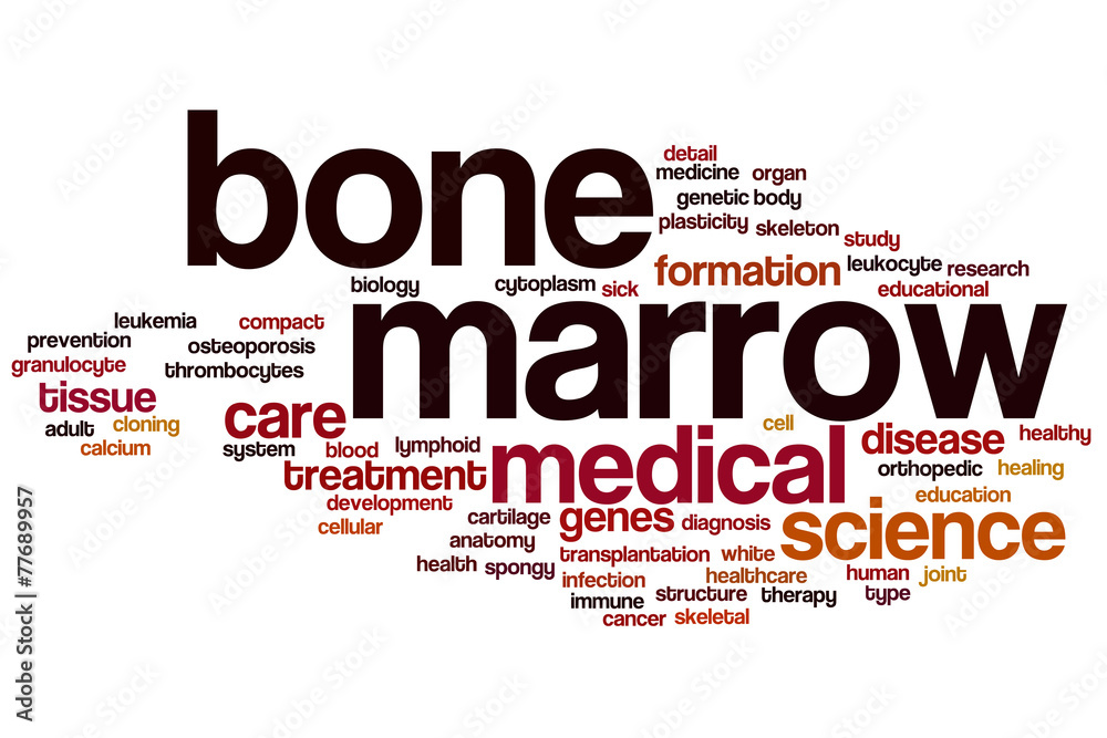 Bone marrow word cloud Bone marrow word cloud