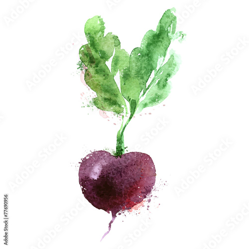 beet vector logo design template. vegetables or food icon.