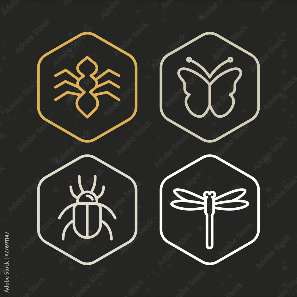 Fototapeta premium Vector insect icons in line style