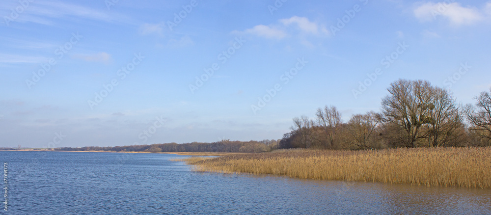 Uferzone am Kummerower See (Mecklenburg-Vorpommern)