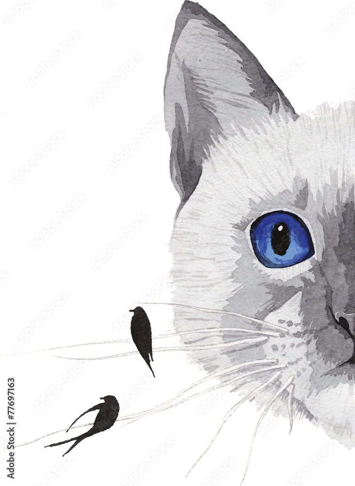 Naklejka premium rysunek kota o niebieskich oczach i ptakach