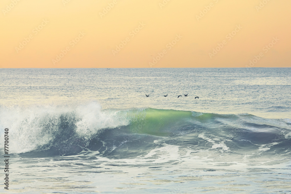 Morning at the ocean