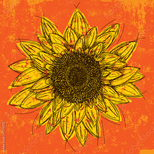 Fototapeta Naklejka Na Ścianę i Meble -  Sunflower