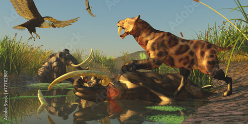 Fotografie Woolly Mammoth Trap