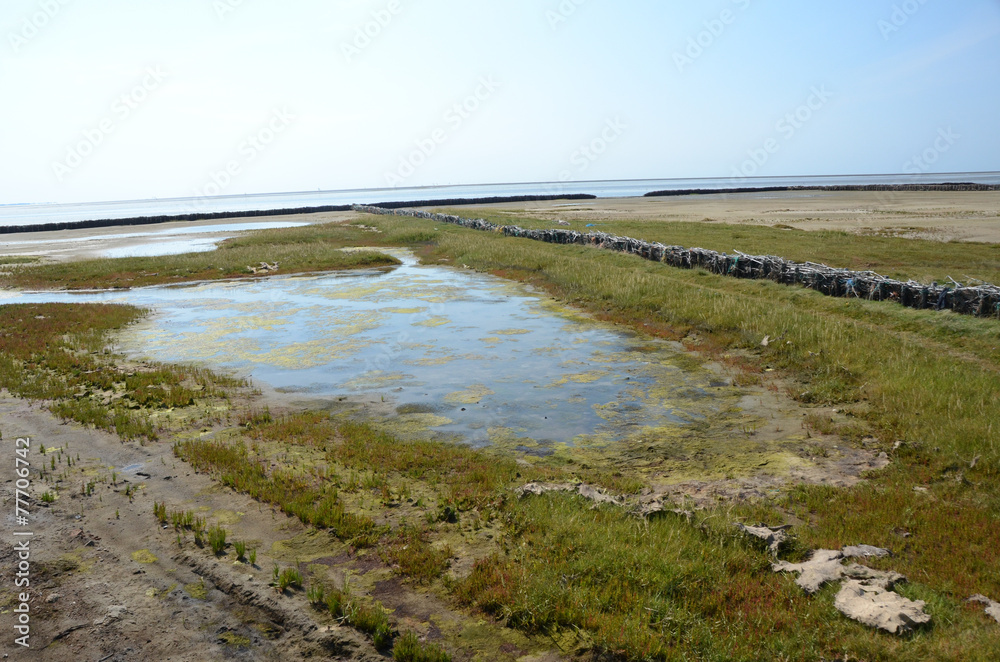 landgewinnung Wattensee wattenmeer