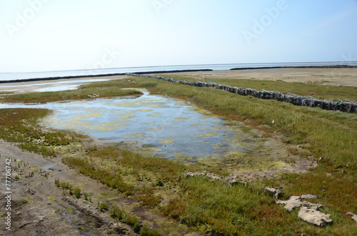 landgewinnung Wattensee wattenmeer