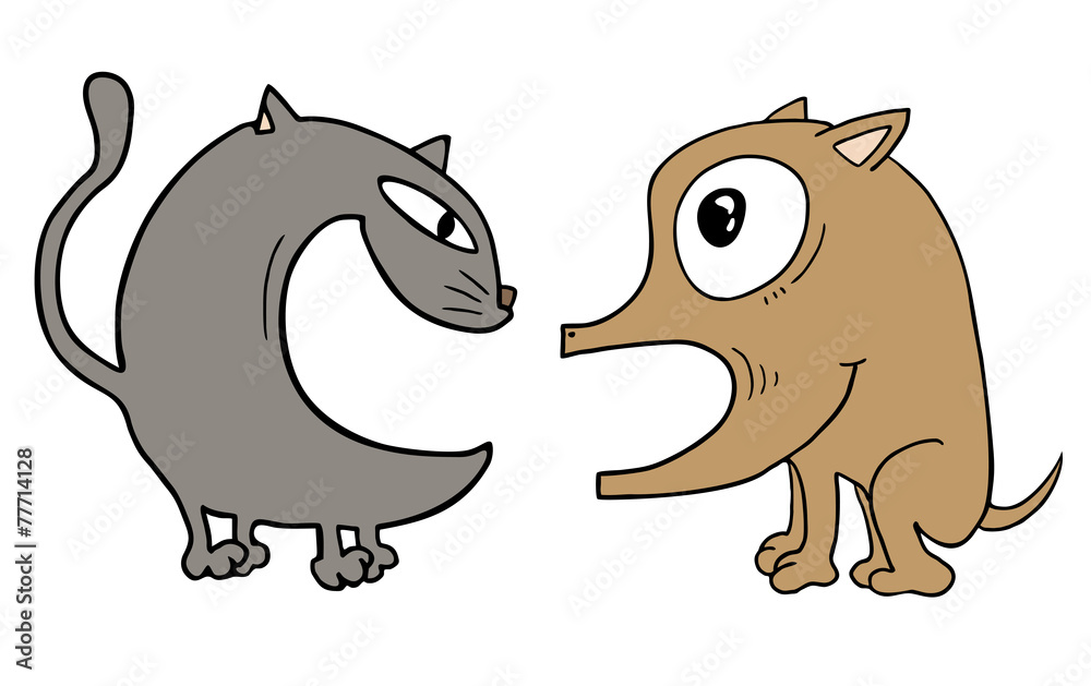 Cat and dog