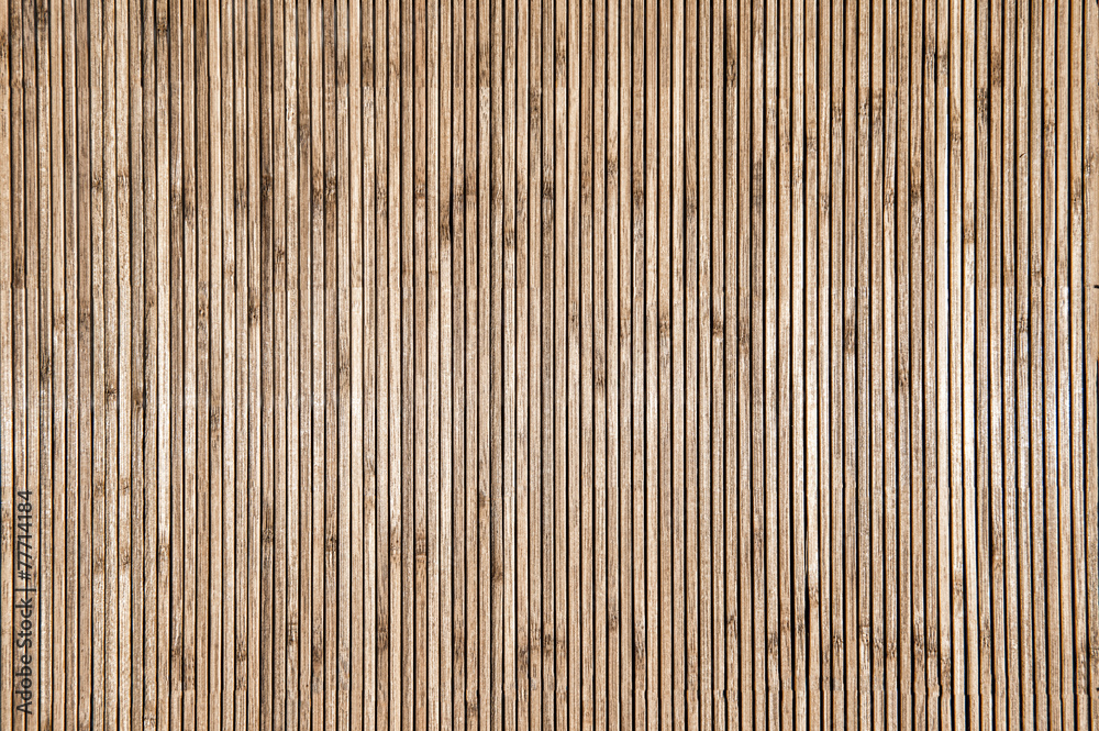 Bamboo Bamboo