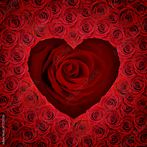 Rose in Form eines Herzens © Thaut Images