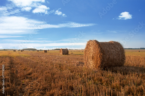 Stubble field with bales of straw, summer tima