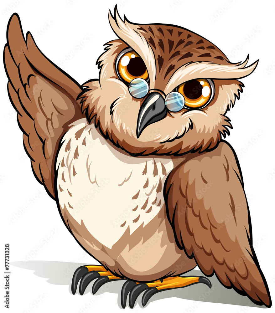 Naklejka premium A wise owl