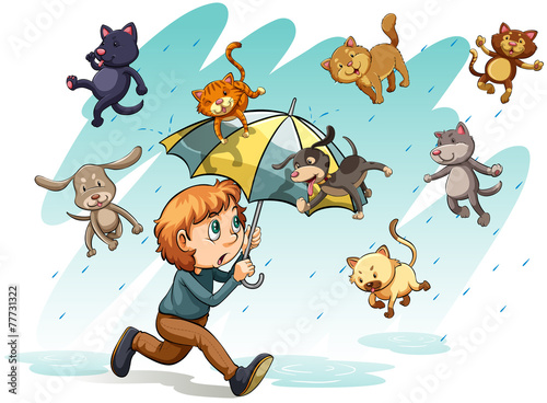 A rain with cats and dogs