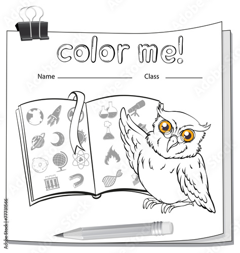 A worksheet with an owl and a book photo