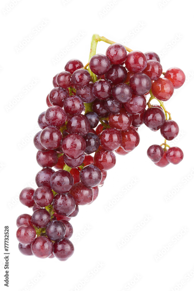 red grape isolated on white