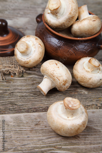 Mushrooms in a clay pot