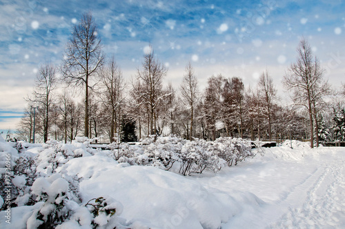 Winter landscape with snow covered © kritsada171