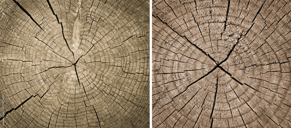 Fototapeta premium set wooden texture background