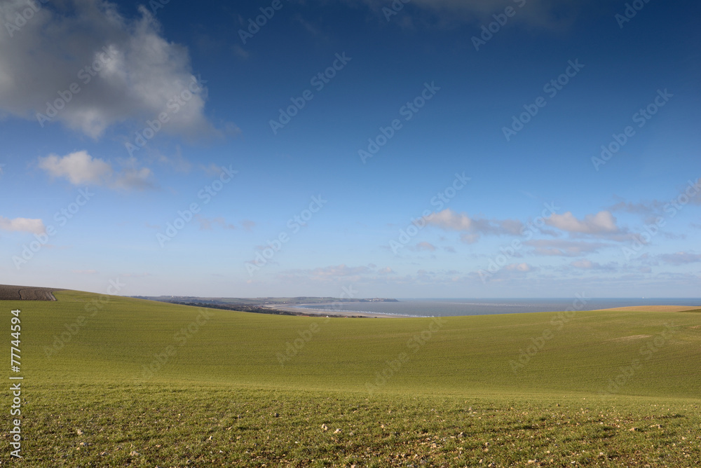 Obraz premium paysage