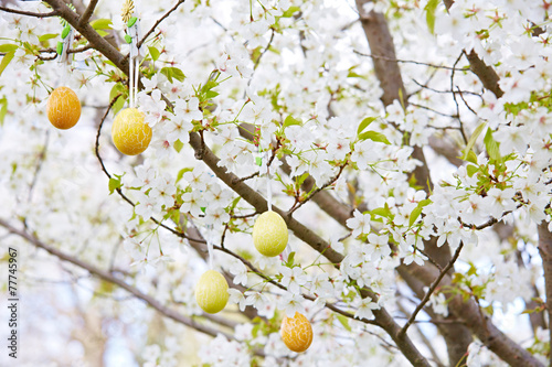 Ostereier in einem Kirschbaum