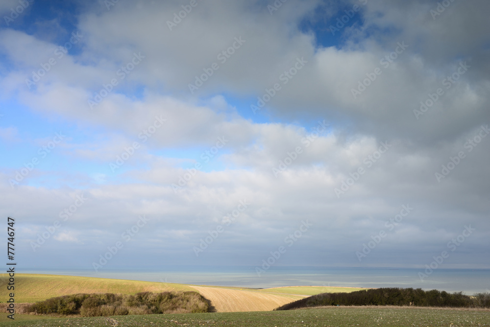 Obraz premium campagne