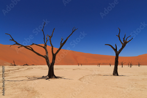 Φωτογραφία Dead vlei Namibia