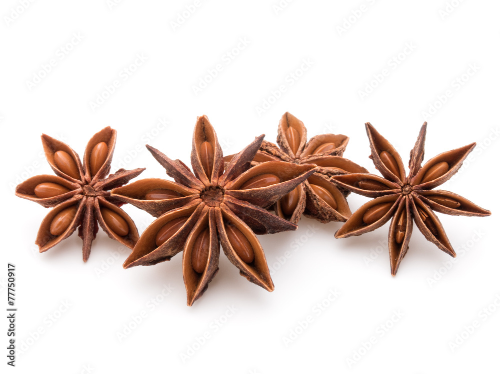 Star anise spice fruits and seeds isolated on white background c Star anise spice fruits and seeds isolated on white background c