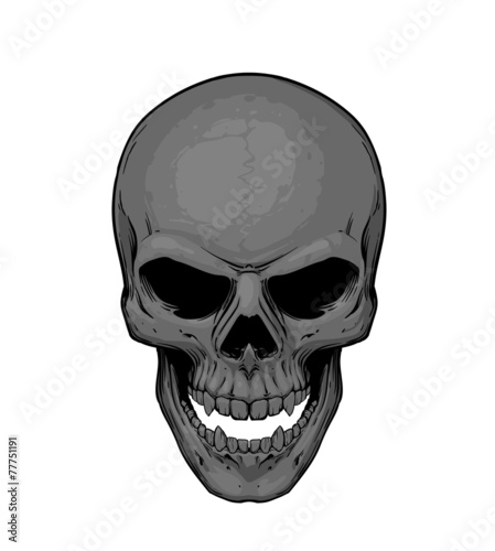 Skull