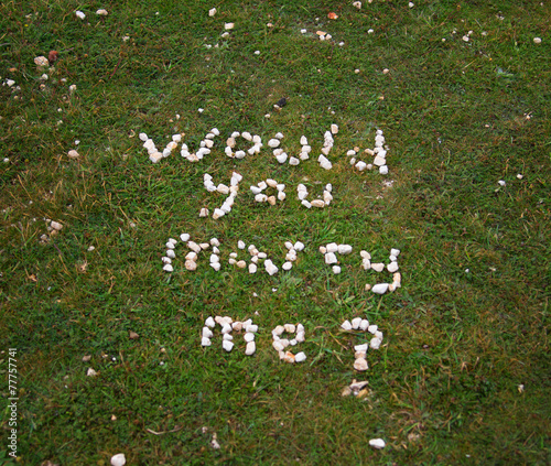 Original marriage proposal with chalk-stones photo