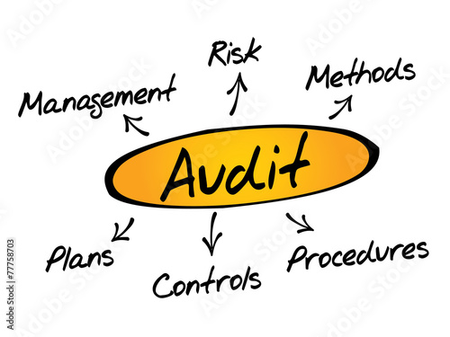 Audit diagram process, business concept
