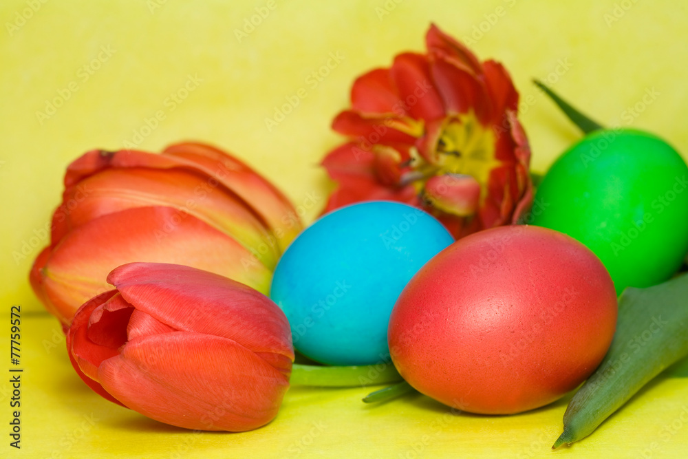 Colorful painted Easter egg and tulip against background Colorful painted Easter egg and tulip against background