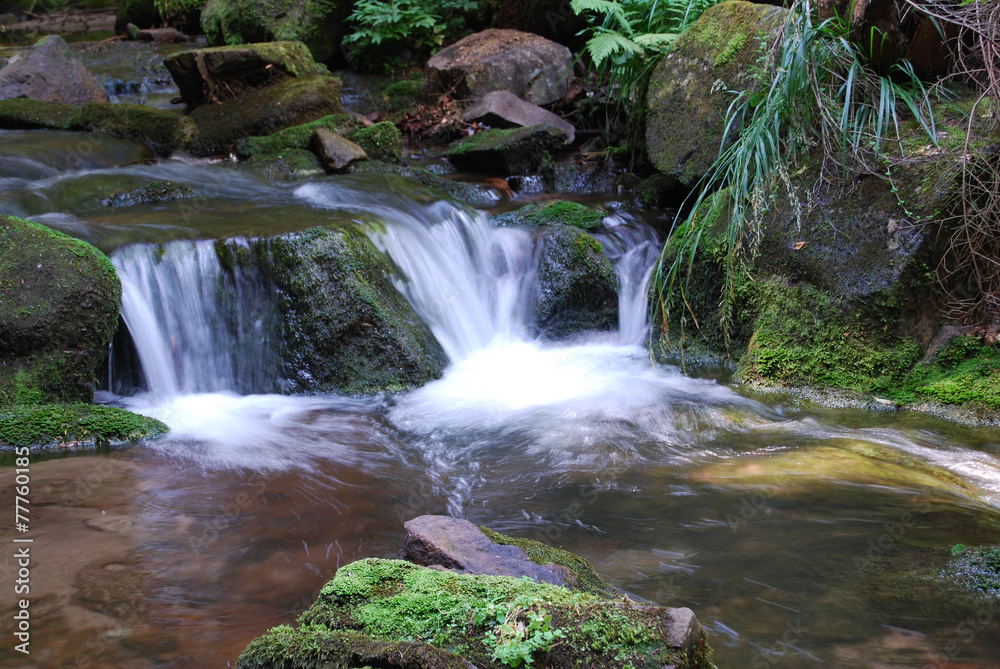 Fototapeta premium I canyon delle cascate