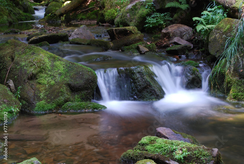 I canyon delle cascate