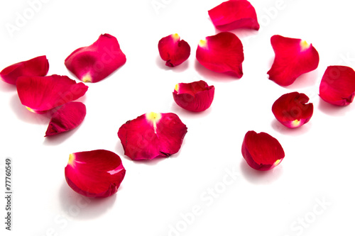 symbol of love with rose, valentin's day