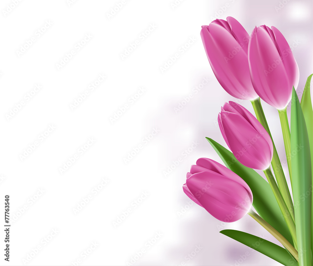 Naklejka premium Realistic Colorful Tulips in Isolated Background