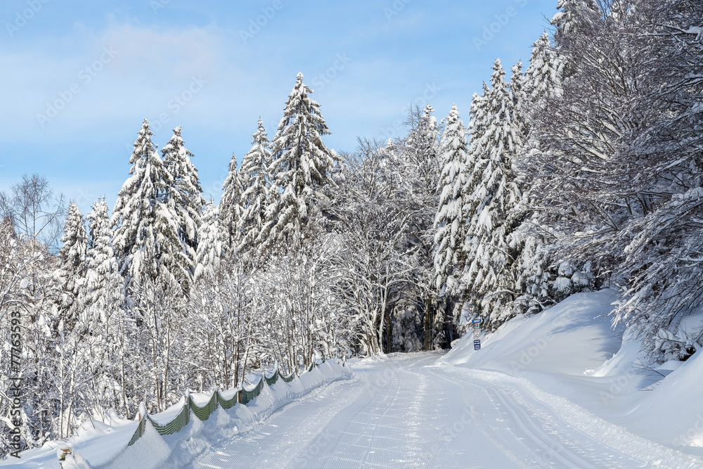 Fototapeta premium pistes de ski de fond,