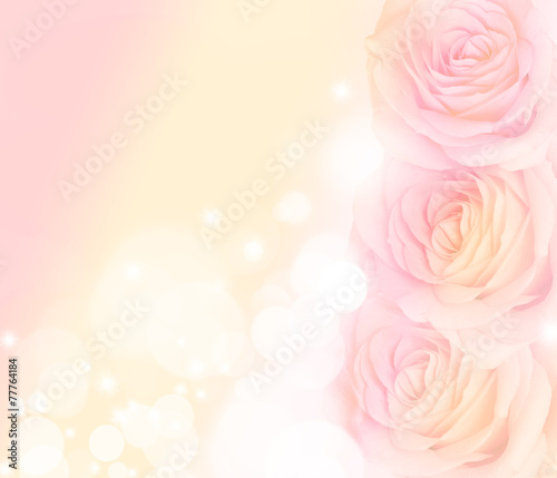 Flower rose