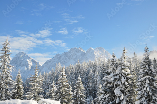 Alpine winter scene